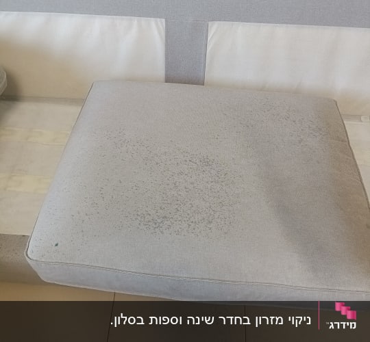 כרית ספה עם כתמים לפני ניקוי